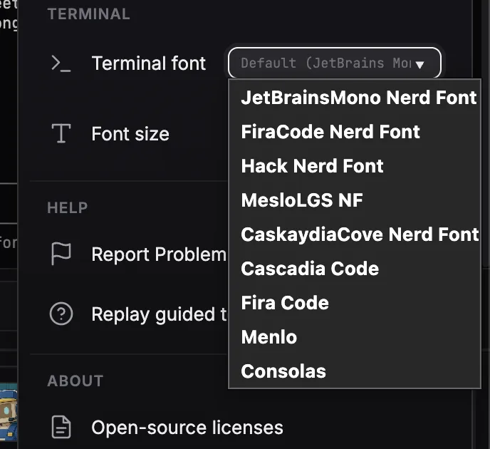 The Termi Protocol Settings panel: a terminal font dropdown listing JetBrainsMono Nerd Font, FiraCode Nerd Font, Hack Nerd Font, MesloLGS NF, CaskaydiaCove Nerd Font and more, with a font-size stepper